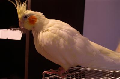 Suzi7.JPG