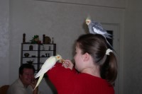 image114.jpg