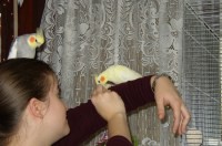 image115.jpg