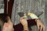 image116.jpg