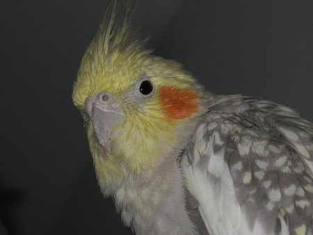 moji_016.jpg